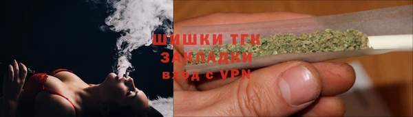 трава Карпинск