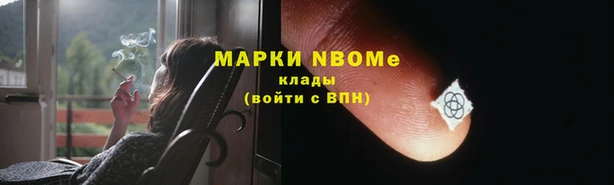 трава Карпинск