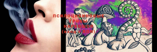 mix Касимов