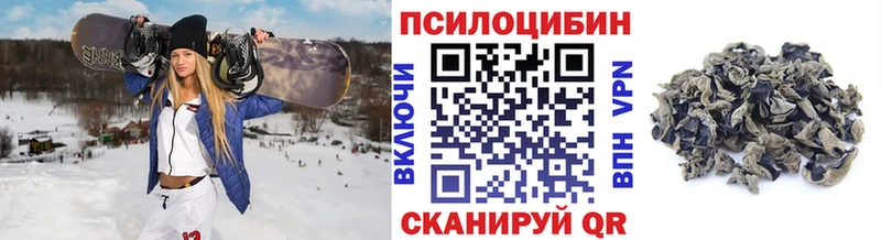 Галлюциногенные грибы Psilocybine cubensis  Купить закладки  Лаишево 